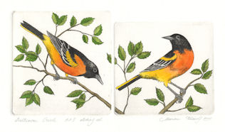 2 plates etching of baltimore orioles