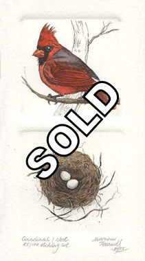 a diptych etchings of a male cardinal and a corresponding nest