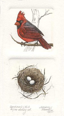 a diptych etchings of a male cardinal and a corresponding nest