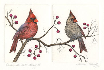 diptych etchings of a male and female cardinal