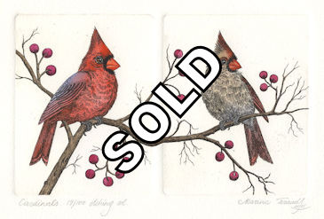 diptych etchings of a male and female cardinal
