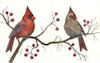 a diptyce of two etchings of a male cardiinal and a female cardinal