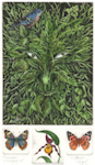 etching of a greenman that surround by smaller etchings