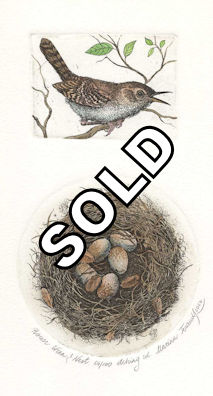a two plate etching featuring a house wren and a nest