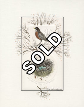 two plate etching of a robin and a nest and hand painted extension on mat