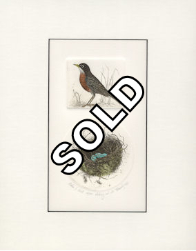 two plate etching of a robin and a nest and hand painted extension on mat
