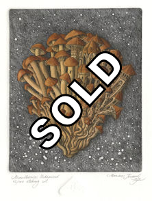 etching of an urbanized armillaria fungi