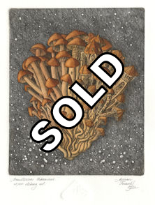 etching of an urbanized armillaria fungi