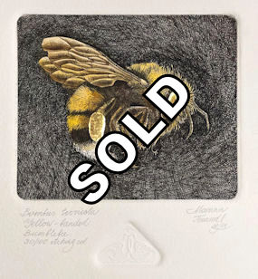 Bumblebee etching with gold leaf gilding