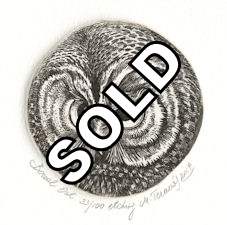 Boreal Owl by Marina Terauds