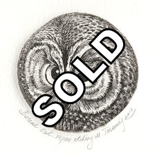 boreal owl by Marina Terauds