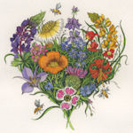 an etching of a bouquet of wildflowers that are native to california