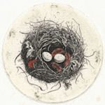 image of a nest with 2 eggs