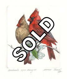 image of male and female cardinals sitting on a branch