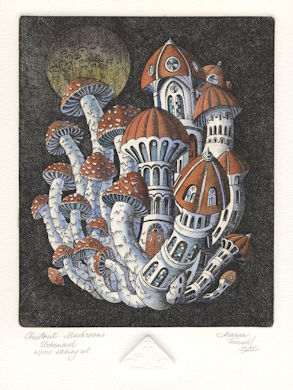 etching of chestnut mushrooms that have become urbanized