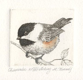 a fluffy chickadee sitting on a branch