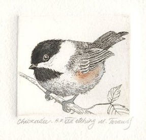 a fluffy chickadee sitting on a branch