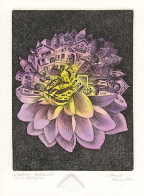 a dahlia flower of san fransico that has been urbanized