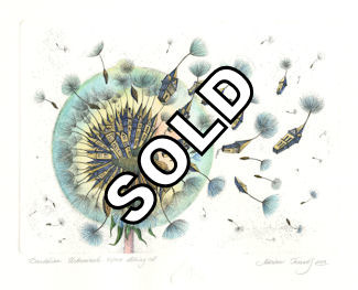 etching of an urbanized dandelion