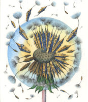 an etching of a dandelion that has houses attached to its seed pods