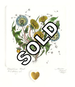 image of dandelion heart ap1