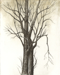 etching of two trees that are embracing each other