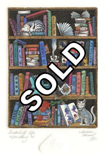 cats lounging on bookcase shelves