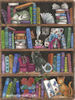 a bookcase with cats and books