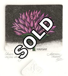 etching of a chive flower that has become urbanized