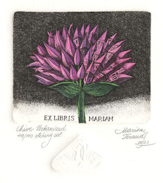 etching of a chive flower that has become urbanized