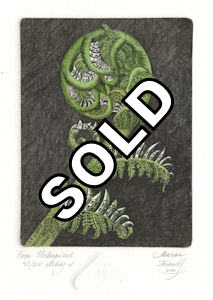 original etchings of a fantasy fern that grows homes