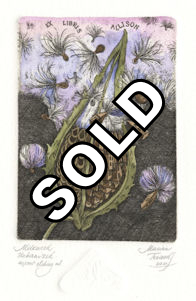 etching of a fantasy image of a milkweed seed pod that is partial urbanized