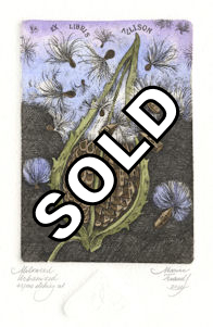 etching of a fantasy image of a milkweed seed pod that is partial urbanized