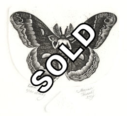 ex libris of a fantasy woman/moth 