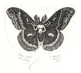 ex libris of a fantasy woman/moth 