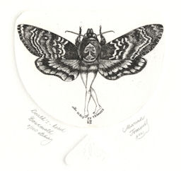 etching of woman with wings from a death head hawk moth