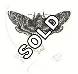 etching of woman with wings from a death head hawk moth
