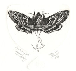 etching of woman with wings from a death head hawk moth