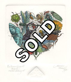 various insects  in the form of a hear