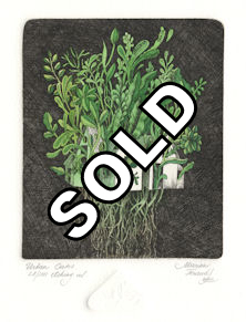 urbanized house consummed by plants