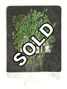 urbanized house consummed by plants