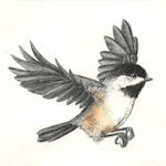 an etching of a chickadee flying 