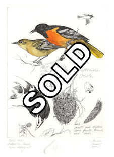 image and text about baltimore orioles