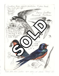 image of an etching featuring barn swallows