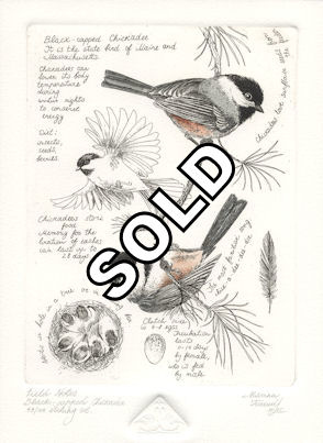 etching of a pair of chickadees surrounded with artist notes