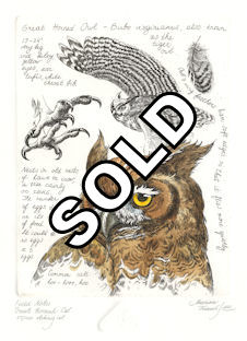 image of a great horned owl together with various text