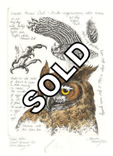 image of a great horned owl together with various text