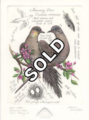 image of two mourning doves together with some narrative about the species