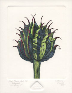 a globe flower seed pod that has become urbanized