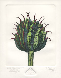 a globe flower seed pod that has become urbanized